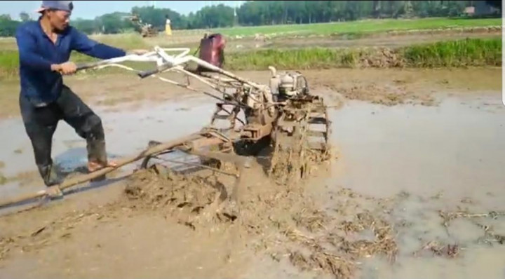 Kementan: Petani Bisa Pinjam Alsintan untuk Panen