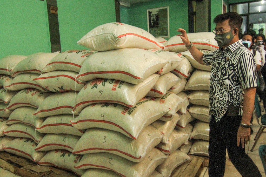 Mentan Syahrul Yasin Limpo (Foto:Antara/Asprilla Dwi Adha)