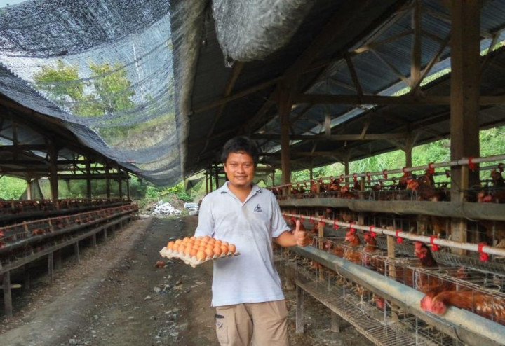 Berkat Program PWMP Kementan, Omzet Petani Milenial Terus Melambung