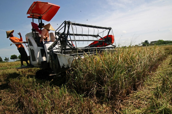 Panen Padi dengan <i>Combine Harvester</i> Tekan Penyebaran Covid-19