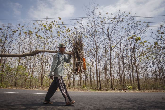 Kemarau Mulai Mampir di Sumatra dan Jawa