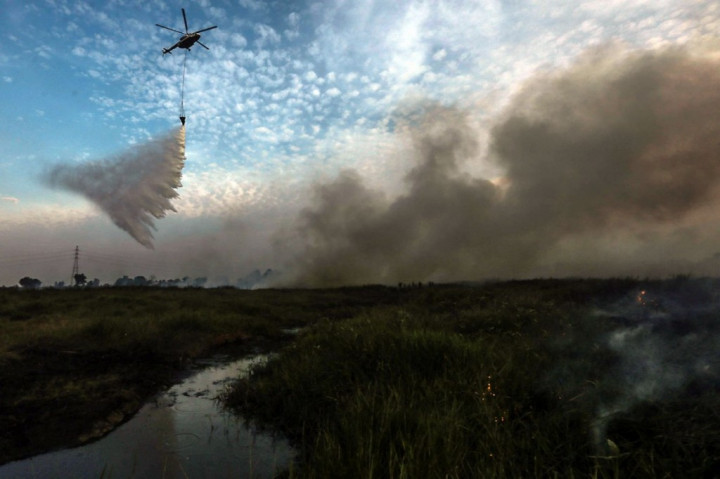 Jurus KLHK Tangani Karhutla Saat Pendemi Korona