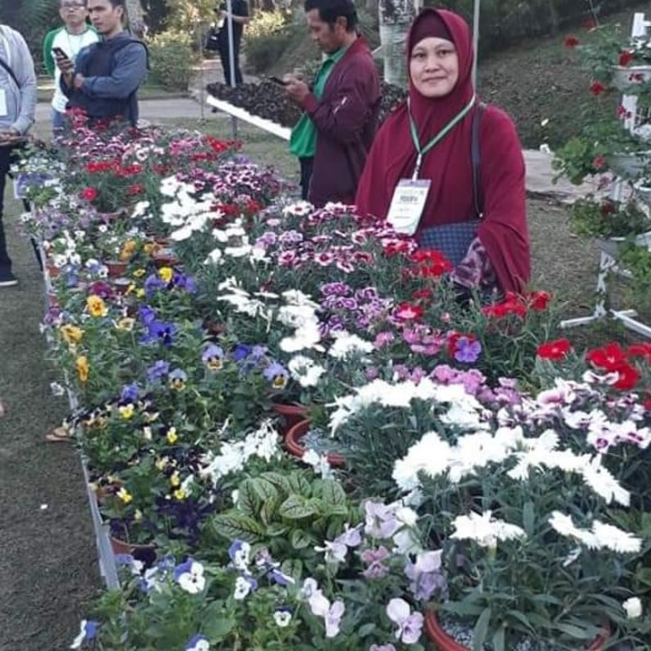 Ibu Rumah Tangga Sukses Budidaya Hidroponik
