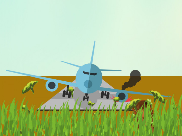 MAF Aircraft Crashes into Papua's Lake Sentani