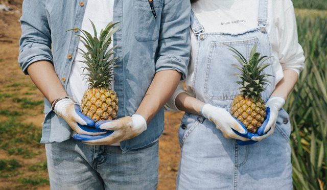 Haruskah Hindari Nanas Saat Hamil?