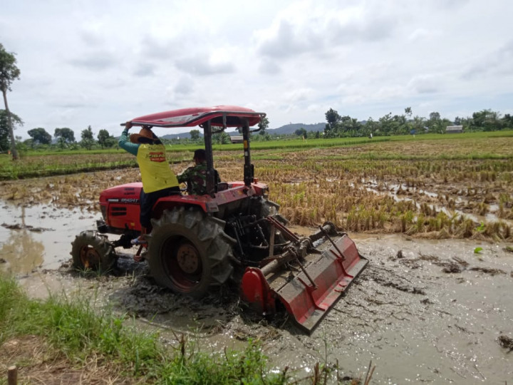 Petani dan Penyuluh di Kalsel Percepat Tanam Padi