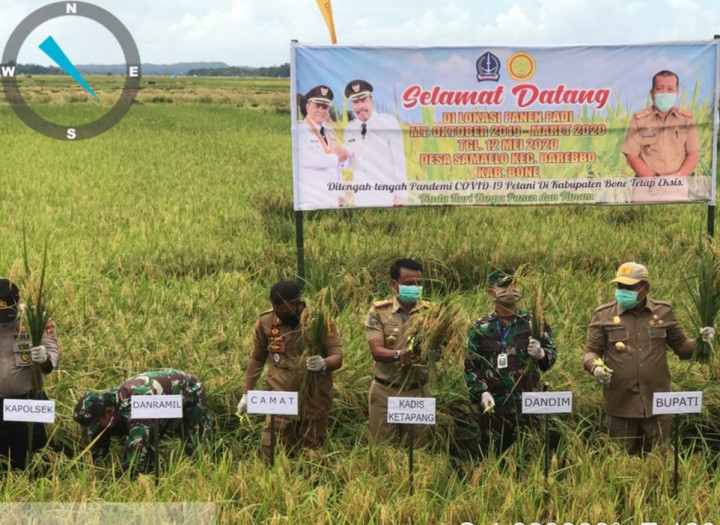 Beras di Bone Surplus Berkat Kerja Keras Petani