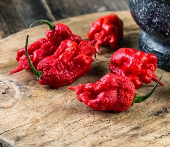 Perkenalkan Carolina Reaper, Cabai Terpedas di Dunia
