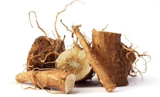 3 Manfaat Akar Chicory untuk Kesehatan