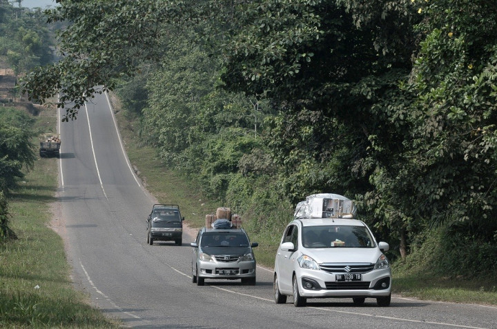 Survei: Kebijakan Relaksasi Mudik Diragukan