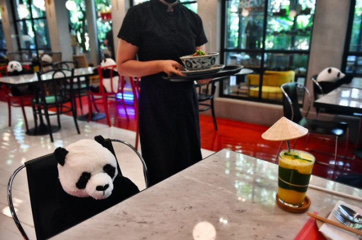 Boneka Panda Temani Pelanggan Restoran saat Covid-19