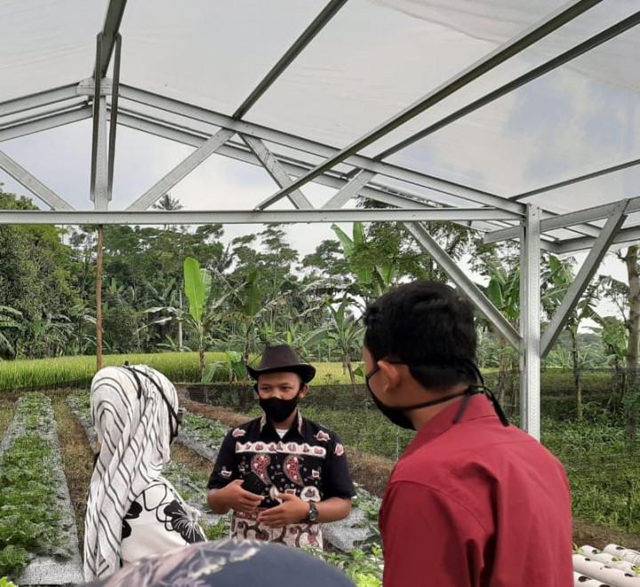 BPPSDMP Kunjungi Kebun Hidroponik Milik Petani Milenial