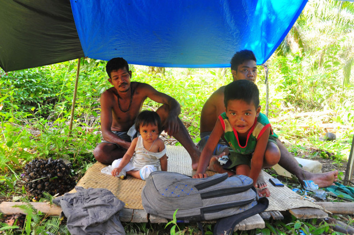 Khawatir Covid-19, Orang Rimba Pilih Tinggal di Perkebunan