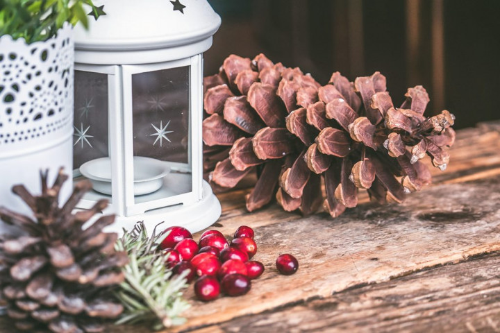 Apakah Jus Cranberry Bisa Memotong Penggunaan Antibiotik ISK?