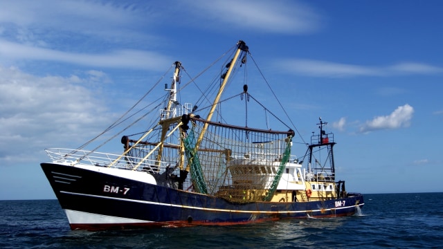 Dua ABK WNI di Kapal Long Xing 606 Dilaporkan Sehat