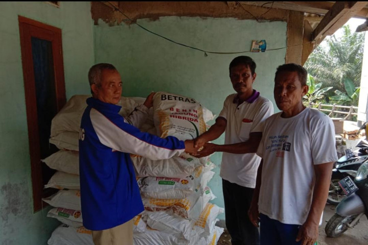 Petani Pandeglang Dapat 10 Ton Bantuan Benih Jagung