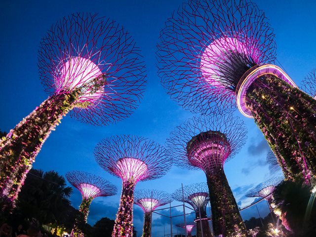 Mengunjungi Supertree Grove di Singapura