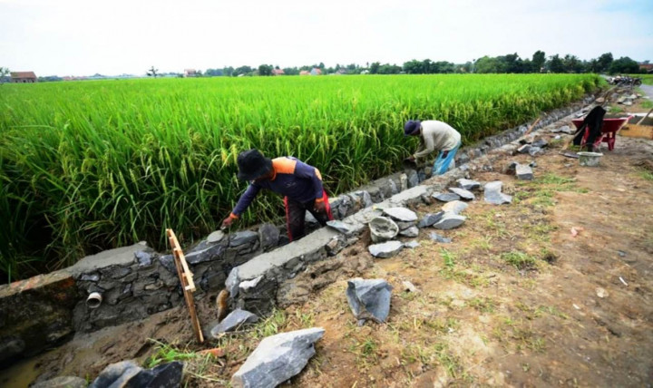 Menteri PUPR Minta Realisasi Padat Karya Tunai Dipercepat