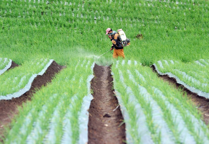 Kementan Sosialisasikan Akses KUR kepada Petani Milenial