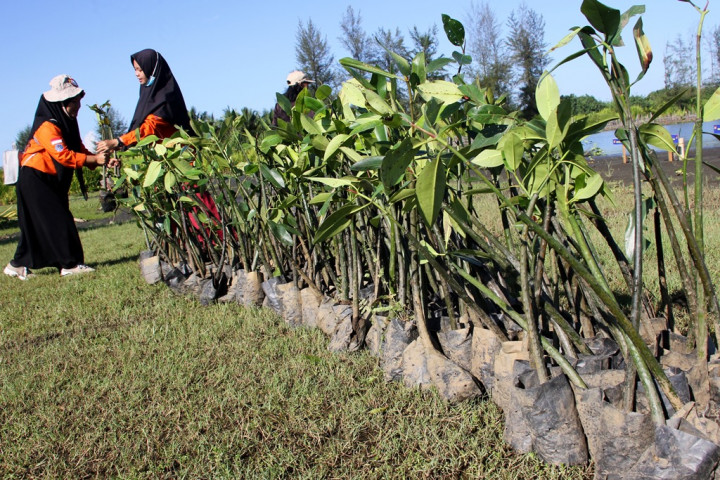 KLHK: Hari Lingkungan Hidup Inspirasi di Tengah Pandemi