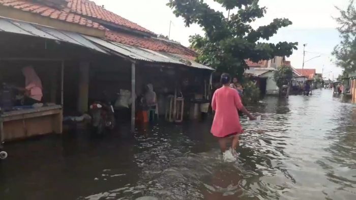 Banjir rob di Desa Randusanga Kulon, Kec. Brebes, Kab. Brebes, Jateng. MI/Supardji Rasban