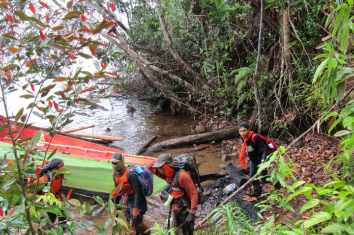 Lima Orang yang Hilang di Hutan Luwu Timur Ditemukan Selamat