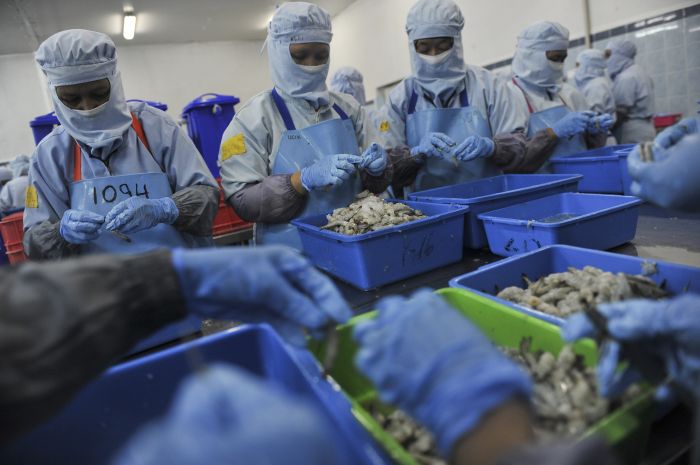 Opportunity Cost dan Pola Hidup Baru