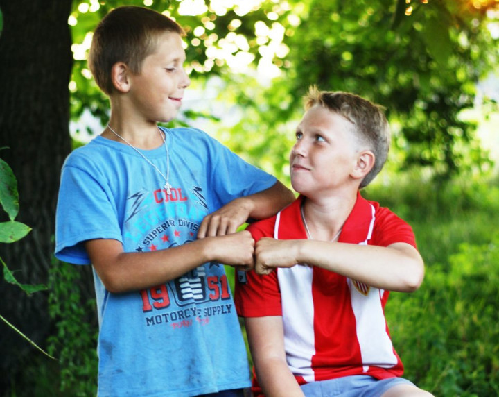 Penyebab Terjadinya <i>Sibling Rivalry</i>