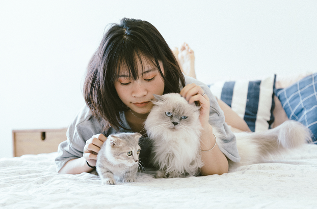 Pemilik anjing lebih cenderung tidur lebih awal dan bangun lebih awal dari pada pemilik kucing. (Foto: Ilustrasi. Dok. Pexels.com)