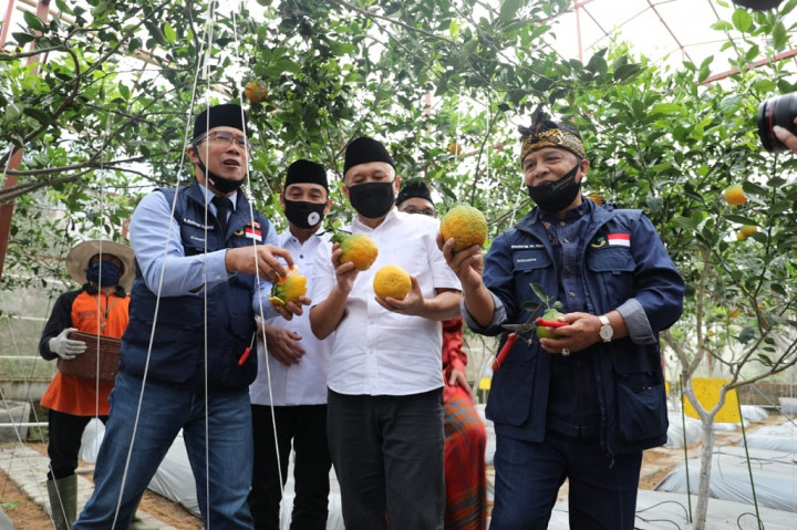 Teten Dorong Pengembangan Koperasi Hadapi Krisis Pangan