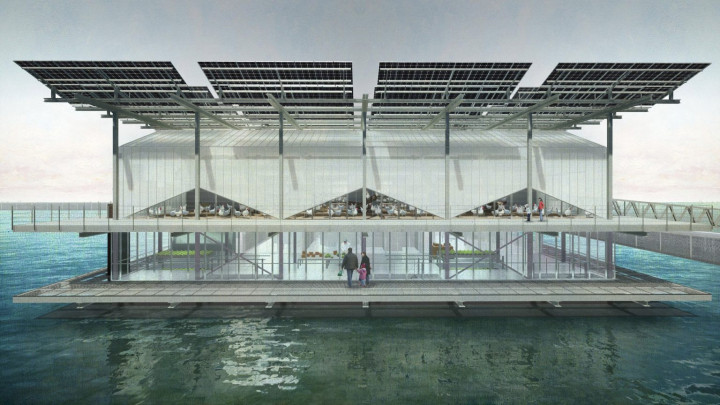 Peternakan Ayam dengan Desain Modern dan Terapung