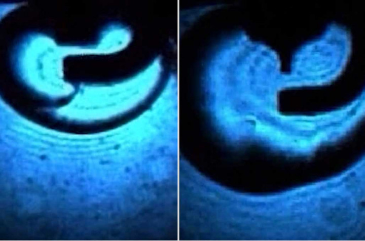 Modifikasi Busi, Bisa Angkat Performa Pembakaran?