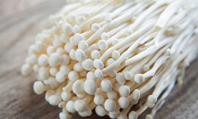 Tak Semua Jamur Enoki Terkontaminasi Bakteri