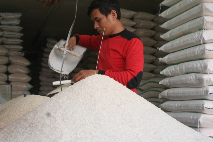 Bulog NTB Gandeng 80 Mitra Serap 115 Ribu Ton Gabah