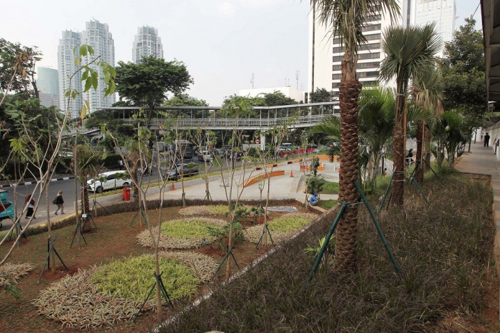 Pandemi Covid-19 Ganggu Pembangunan Ruang Hijau di Jakarta