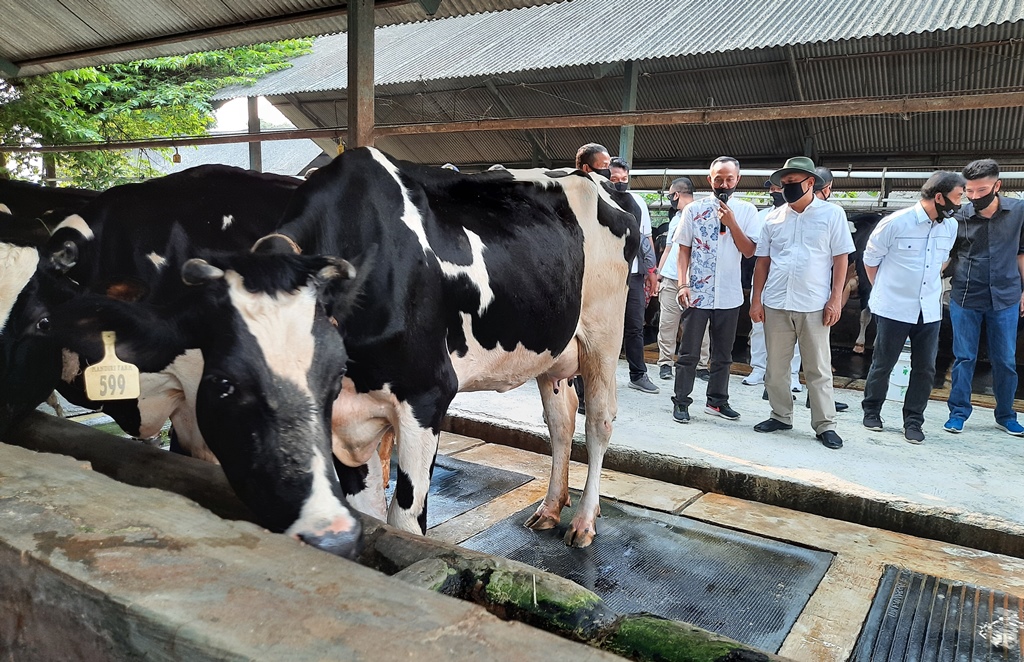 Menkop UKM Teten Masduki bersama Dirut LPDB-KUMKM Supomo mengunjungi KPS Bogor Kunak, di Desa Pamijahan, Kecamatan Pamijahan, Kabupaten Bogor, Jawa Barat, Sabtu, 27 Juni 2020 (Foto:Medcom.id/Gervin Nathaniel Purba)
