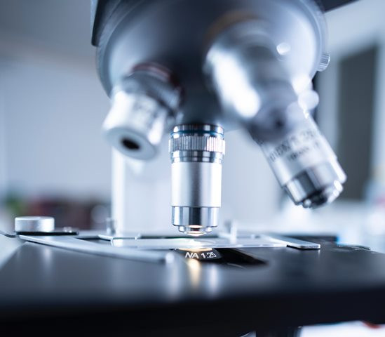 Flu Babi Jenis Baru di Tiongkok Mirip dengan Flu Babi 2009