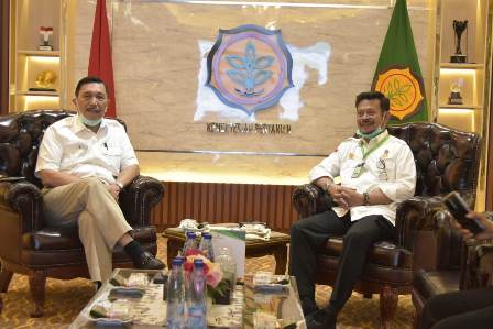 Pemerintah Bangun <i>Food Estate</i> di Dataran Tinggi