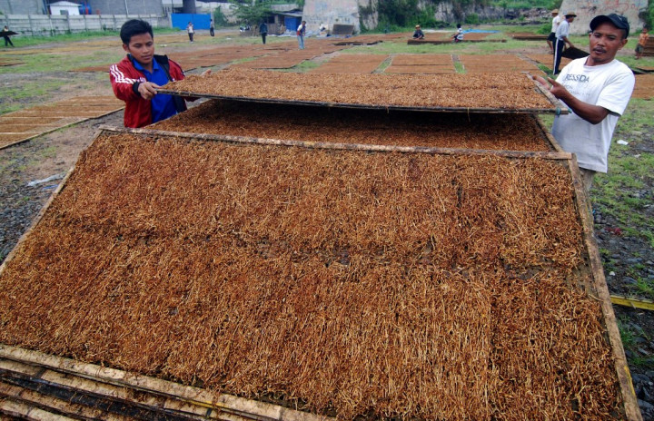 Simplifikasi Cukai Rokok Jadi Strategi Reformasi Fiskal