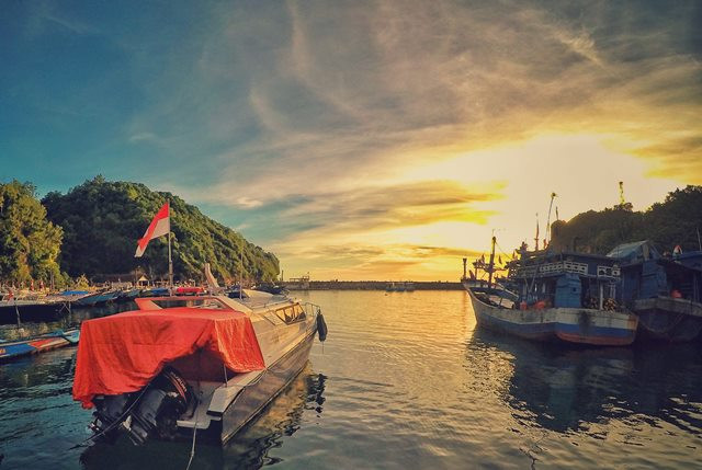 Indonesia Berpotensi Terpapar Flu Babi?