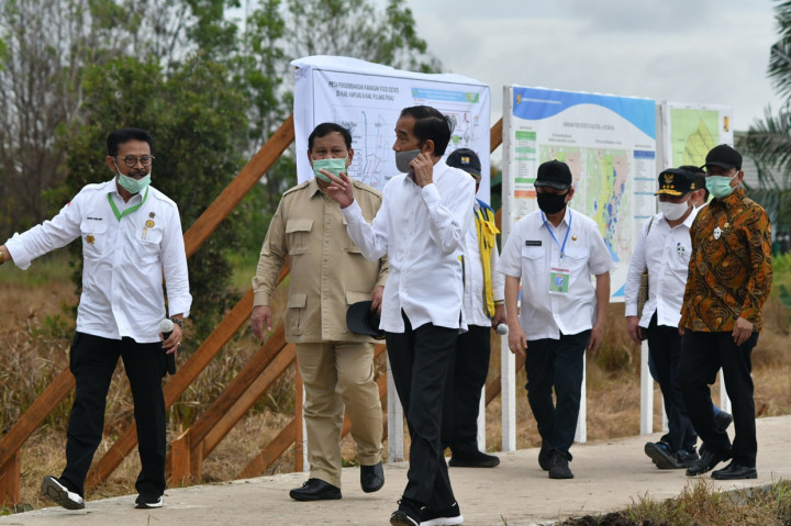Jokowi Tinjau Food Estate di Kalimantan Tengah