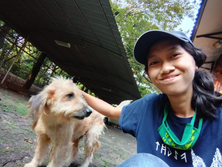 6 Hal Dasar yang Perlu Diketahui ketika Pertama Kali Pelihara Anjing