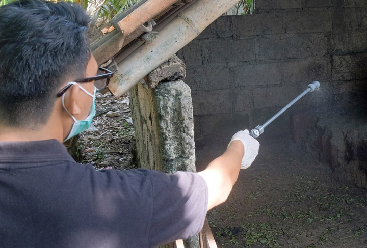 Imbauan Kemenkes terkait Penularan Penyakit dari Hewan