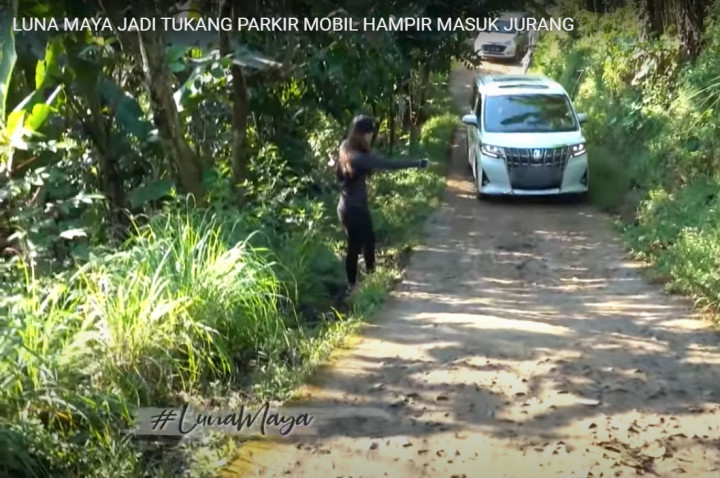 Alphard Luna Maya Gagal Nanjak, Ini Kata Toyota