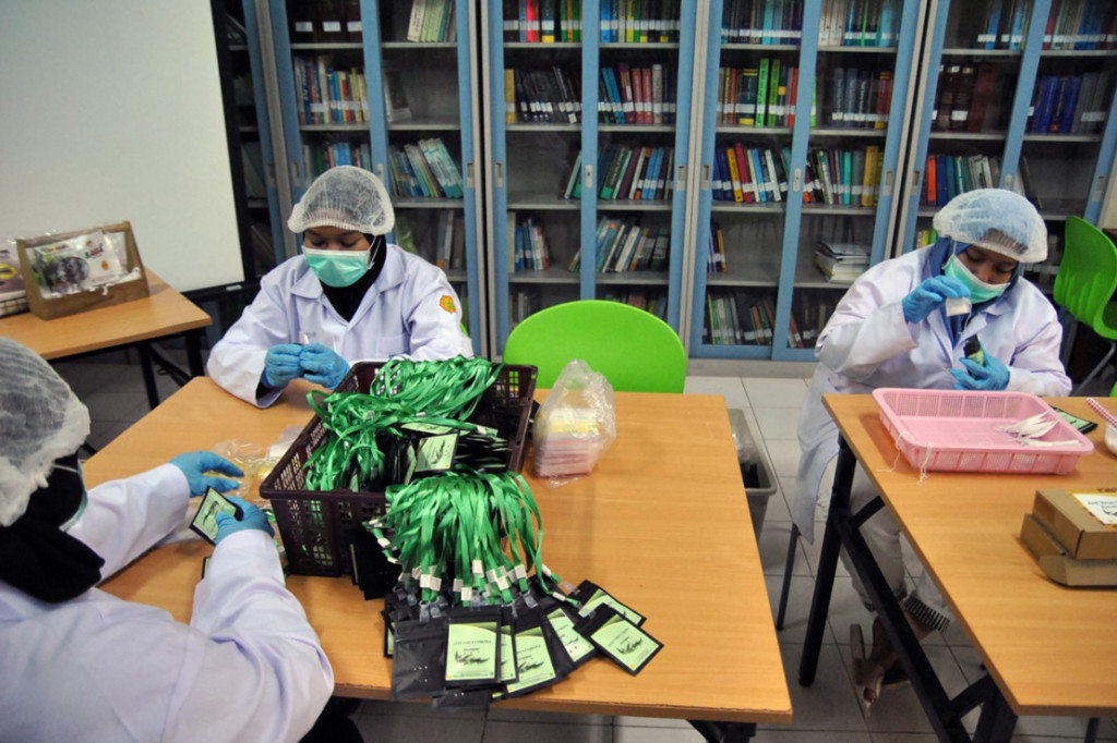 Peneliti menunjukkan kalung antivirus hasil pengolahan laboratorium nano teknologi Balitbangtan Kementan. Foto: ANTARA/Arif Firmansyah
