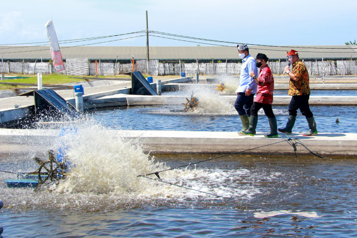 Menteri Edhy Prabowo Minta Banyuwangi Tingkatkan Produksi Sidat