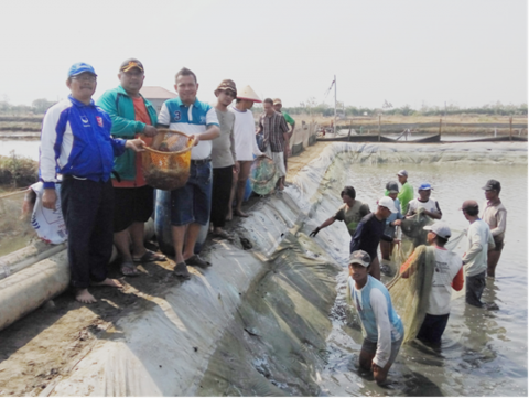 Kemenperin Tawarkan Pengembangan Tambak Udang Vaname ke Investor