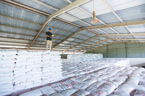 Pupuk Indonesia Catat Penjualan Pupuk Tumbuh 12,5%