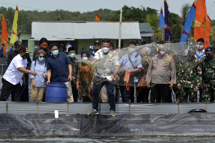 Menteri KKP Ingin Lampung Timur Kembangkan Benih Udang Vaname