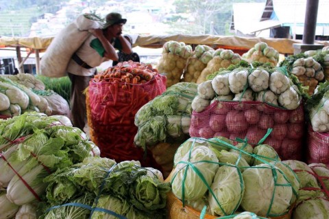 Indonesia Bidik Pasar Sayur Beku Jepang